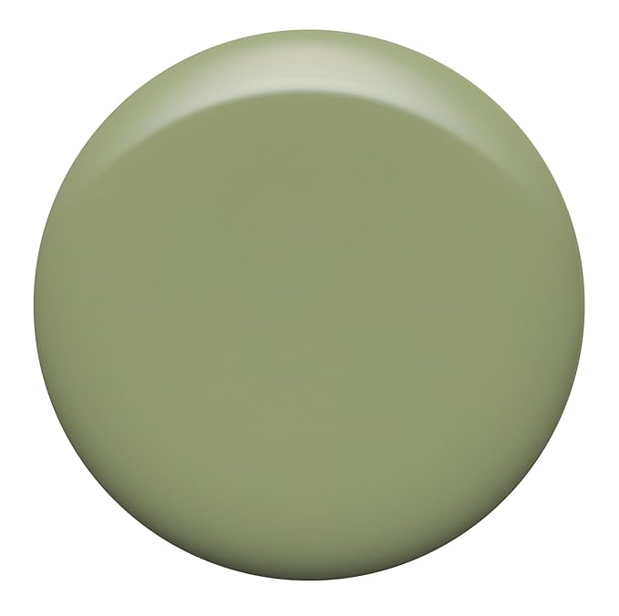 Nailtopia Bio-Sourced, Chip Free Nail Lacquer - All Natural, Strengthening Biotin and Superfood-Infused Polish - Chip Resistant Formula - Quick-Dry, Long Lasting Wear - Ride Or Die - 0.41 oz