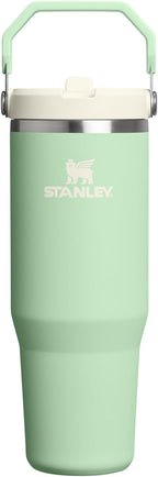 STANLEY IceFlow 2.0 Flip Straw Tumbler, 30 oz, Pistachio | Easy Carry Handle | by Unknown