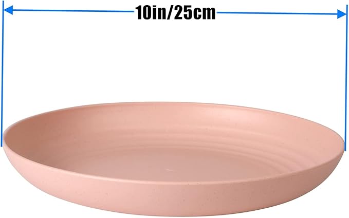 CAMBUY Wheat Straw Plates 4 Pack 10 Inch Extra Large Plate Set | Unbreakable - Image 3