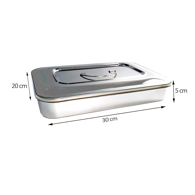Easyinsmile Medical Surgical Tray Dental Sterilization Instruments Tray Organizer Holder with Lid & Handle Grip (Silver)