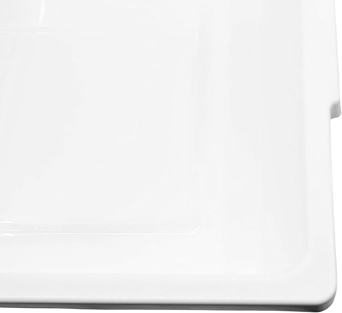 Eisco - Utility Lab Tray, Polypropylene Plastic, Chemical Resistant, Easy-Carry Lip, Lab Sterilization & Storage Container, Multipurpose Organizer, 21 x 17 x 5 Inches