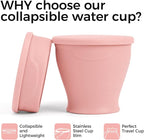 TakeToday Collapsible Cup 8 oz, Foldable - Image 3