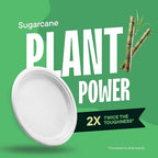 100% Compostable Disposable Paper Plates - Image 4