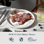 DOWAN 10.5" Large Dinner Plates Set of 6, High Edge Ceramic Plate - Image 2