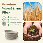 Deep Dinner Plates Set of 8 Alternative - Image 3