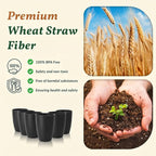 Homienly Wheat Straw Drinkware 12oz Unbreakable Drinking Glasses 6-Piece - Image 4