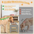 Elevated Bowls, 4 Height Adjustable Raised Stand - Image 3