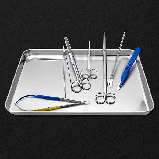 QWORK Stainless Steel Surgical Tray, for Medical Instruments, Tattoo, Surgical Supplies, 15 3/4"×11-13/16"×15/16", Flat Bottom Tray