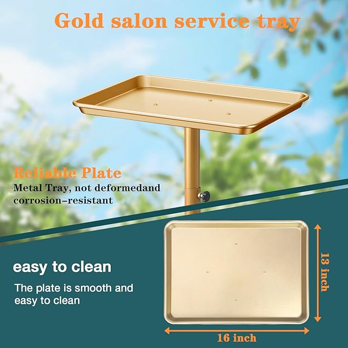Salon Tray, Gold Salon Rolling Tray, Height-Adjustable, Also Use as Tattoo Tray and Dental Tray（Golden）