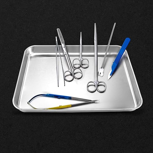 QWORK Stainless Steel Surgical Tray, for Medical Instruments, Tattoo, Surgical Supplies, 10 5/8" x 6 11/16" x 1", Flat Bottom Tray