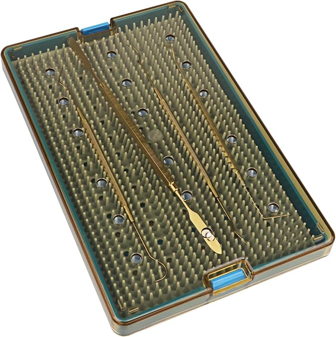 Dental Plastic Sterilization Tray Box Instrument Autoclavebale Detachable Stand Box Holder with Silicone Mat (Medium)