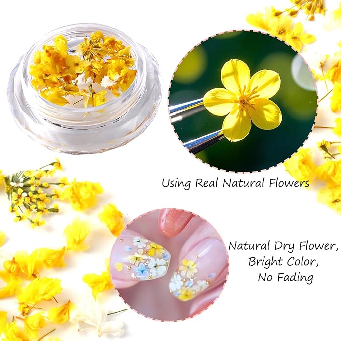 8 Boxs Dried Gypsophila Flowers Nail Art Decoration Mixed Mini Hydrangea Floral Petals Charms Plant Jewelry Accessories for DIY Crafting Nail Design Supplies (Multi-Color)