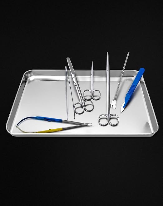QWORK Stainless Steel Surgical Tray, Flat Bottom Tray, - Image 2