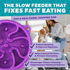 Outward Hound Fun Feeder Slo Bowl – Medium 2‑Cup Capacity, Slow Feeding - Image 5