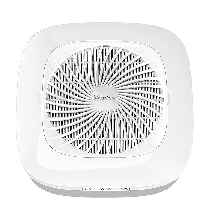 MelodySusie Nail Dust Collector with Reusable Filter, Powerful Vacuum Fan, Low Noise, Nail Salon
