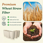 Homienly Plastic Cups Alternative 12oz - Image 3