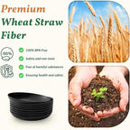 Wheat Straw Plates Sets 8 PCS Unbreakable Plastic Plates - Image 3
