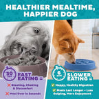 Outward Hound Fun Feeder Slo Bowl – 2‑Cup Capacity, Slow Feeding, Small to - Image 7