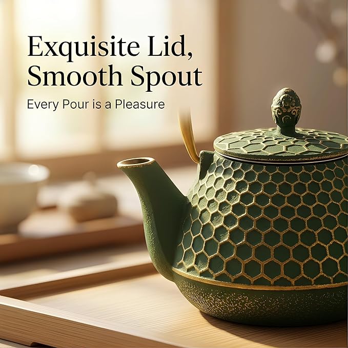Cast Iron Tea Kettle, Japanese Tetsubin Teapot Coated - Image 6