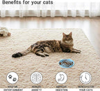 Bifeaw Slow Feeder Cat Bowl - Image 5