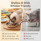 Ceramic Cat Food Bowls 6 Pack – Shallow Cat Bowl - Image 4