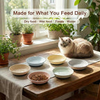 Ceramic Cat Food Bowls 6 Pack – Shallow Cat Bowl - Image 4
