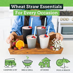 Grow Forward Premium Wheat Straw Cups - Image 2