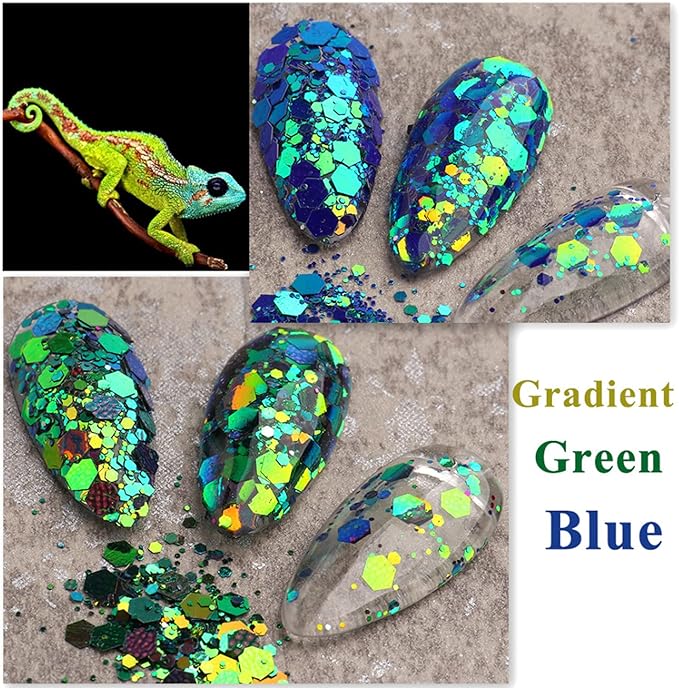 12 Colors Chameleon Nail Art Sequins 3D Nail Glitter Flakes Laser Gradient Nail Art Design Holographic Nail Glitters Powder for Women Girls Manicure Tips Charms Decoration DIY Nails Supplies
