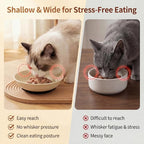 Ceramic Cat Food Bowls 6 Pack – Shallow Cat Bowl - Image 3