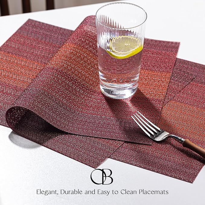 Placemats Set of 12 - Image 3