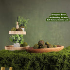 Fake Moss Mat Artificial Moss Roll - Image 5