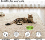 Bifeaw Slow Feeder Cat Bowl - Image 4