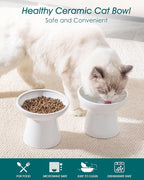 vancasso Extra Wide Elevated Cat Bowls 2-Pack, Shallow Ceramic Raised Cat Food - Image 3
