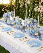 YOUBET 175PCS Clear Blue Scalloped Plastic Plates - Image 4