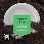 100% Compostable Disposable Paper Plates - Image 6