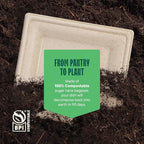 100% Compostable Square Paper Plates - Image 6