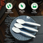 Compostable Spoon, 100 Biodegradable Silverware - Image 4