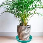 2 Pack of 10 inch Plant Saucer Gray, Heavy Duty Plastic Plant Saucer 10 inch - Image 7